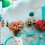 Duru Butik Bodrum