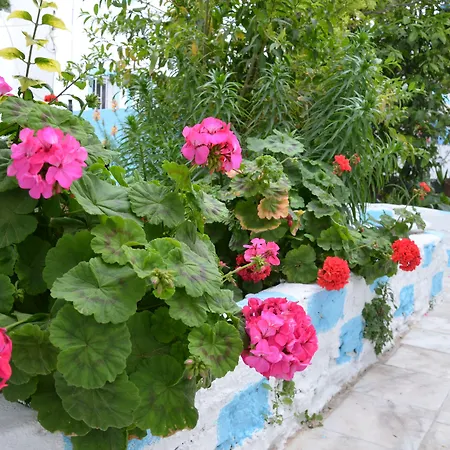 Duru Butik Bodrum