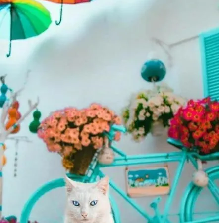 Duru Butik Bodrum