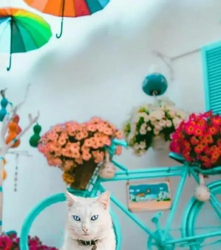 Duru Butik Bodrum
